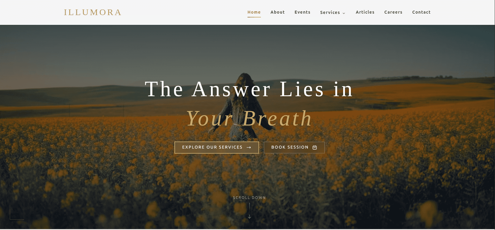Illumora product screenshot